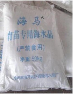 海水晶 南美對蝦育苗